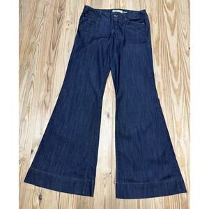 Anthropologie Level 99 Women's Size 29 Denim Jeans Wide Leg Flare